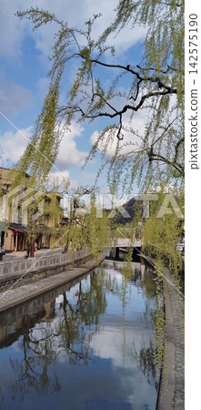 河邊的柳樹和街景 河邊的柳樹和街景 142575190