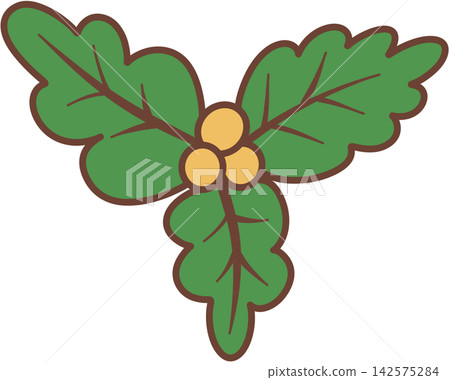 Green Christmas holly leaves with yellow berries Green Christmas holly leaves with yellow berries 142575284