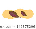 Two sweet potatoes, one large and one small. 142575296