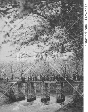 Old photograph, 1918-1933, cherry blossoms along the Kajikawa River embankment, Shibata City, Niigata Prefecture. Old photograph, 1918-1933, cherry blossoms along the Kajikawa River embankment, Shibata City, Niigata Prefecture. 142575313