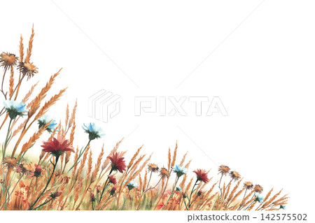 Autumn field with red, blue yellow wildflowers, dried golden grasses rectangular banner. Hand drawn watercolor nature meadow, fall landscape plant. Corner frame Illustration isolated on white Autumn field with red, blue yellow wildflowers, dried golden grasses rectangular banner. Hand drawn watercolor nature meadow, fall landscape plant. Corner frame Illustration isolated on white 142575502