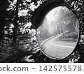 A mountain road and forest landscape reflected in a convex mirror (monochrome) 142575578