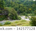 一座橫跨清新綠色山谷的橋樑 142577128