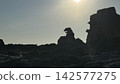 Godzilla Rock, a strangely shaped rock at Shiosezaki, Oga Peninsula, Akita Prefecture 142577275