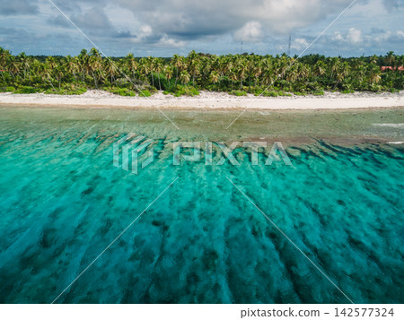 Maldive coastline with beach, palms trees and clear turquoise ocean. 142577324