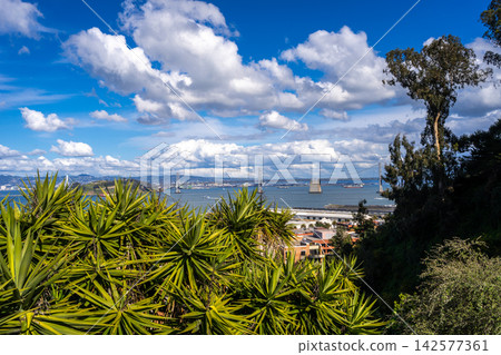 Panoramic view of San Francisco Bay and lush greenery, USA Panoramic view of San Francisco Bay and lush greenery, USA 142577361