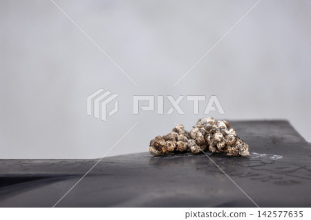 Dried bird droppings accumulated on smooth black surface outdoors. Useful for pest control services, property maintenance, and surface cleaning subjects. Dried bird droppings accumulated on smooth black surface outdoors. Useful for pest control services, property maintenance, and surface cleaning subjects. 142577635