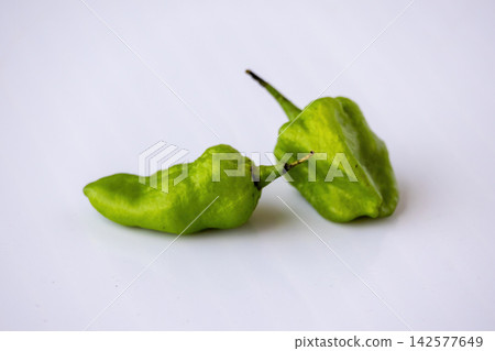 Fresh green Bombay morich or Naga chilli pepper pods arranged on clean white background. Organic spicy ghost pepper variety prepared for spicy food seasoning. Fresh green Bombay morich or Naga chilli pepper pods arranged on clean white background. Organic spicy ghost pepper variety prepared for spicy food seasoning. 142577649