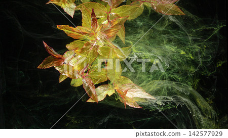Branch with golden red leaves drifting through green ink swirls on black background 142577929