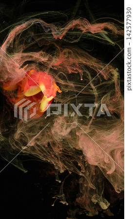 Red and yellow flower petals suspended in swirling translucent ink clouds on black background 142577930