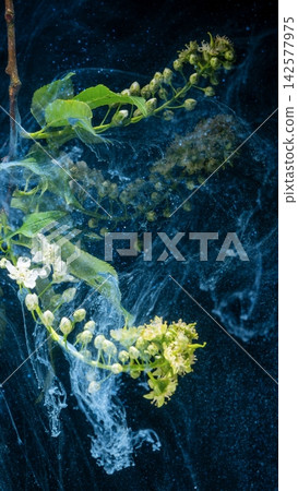 Green blossom branch submerged in swirling blue liquid with ink-like smoke plumes 142577975