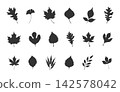 Autumn leaves silhouette set on white background, Autumn leaves svg, Autumn leaves clipart, Autumn leaves vector bundle. 142578042