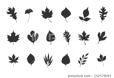 Autumn leaves silhouette set on white background, Autumn leaves svg, Autumn leaves clipart, Autumn leaves vector bundle. Autumn leaves silhouette set on white background, Autumn leaves svg, Autumn leaves clipart, Autumn leaves vector bundle. 142578042