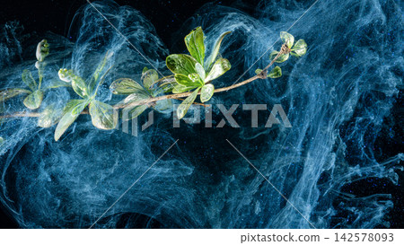 Green branch with leaves surrounded by swirling blue ink in water on black background 142578093