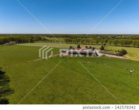 High angle wide horizontal aerial drone photograph of farmstead, agricultural barns, Holstein dairy cows in pasture, and tree line in rural Gelderland, Achterhoek, Netherlands on sunny spring day High angle wide horizontal aerial drone photograph of farmstead, agricultural barns, Holstein dairy cows in pasture, and tree line in rural Gelderland, Achterhoek, Netherlands on sunny spring day 142578342