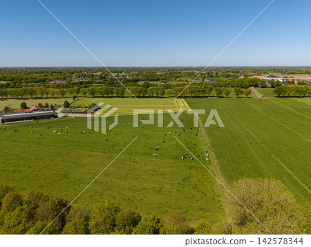 High angle wide horizontal aerial drone photograph of Holstein cows grazing, farmstead, mown hayfields, and tree line in rural Gelderland, Achterhoek, Netherlands on sunny spring day High angle wide horizontal aerial drone photograph of Holstein cows grazing, farmstead, mown hayfields, and tree line in rural Gelderland, Achterhoek, Netherlands on sunny spring day 142578344