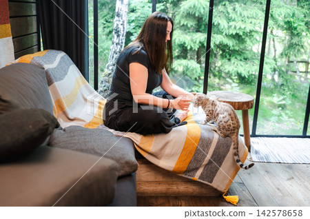 Woman Playing with Bengal Cat on Cabin Sofa by Forest. Young woman sitting cross-legged on a sofa playing with a spotted Bengal cat in a rustic forest cabin, green forest filling the large window. Woman Playing with Bengal Cat on Cabin Sofa by Forest. Young woman sitting cross-legged on a sofa playing with a spotted Bengal cat in a rustic forest cabin, green forest filling the large window. 142578658