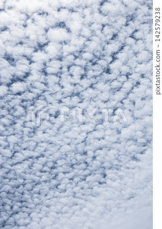 Cloud texture background with space for text elements in a clear blue sky setting over a vast area Cloud texture background with space for text elements in a clear blue sky setting over a vast area 142579238