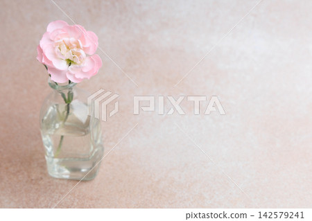 Simple flower sits in a clear vase on a light background with soft colors and shapes around it Simple flower sits in a clear vase on a light background with soft colors and shapes around it 142579241