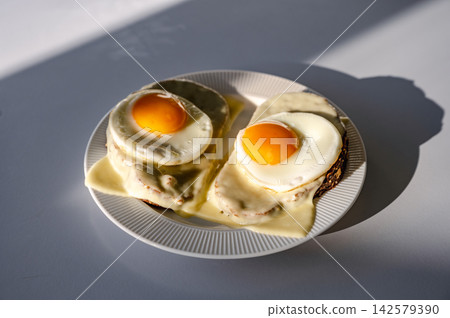 Homemade nutritious and healthy handmade sandwiches. Homemade nutritious and healthy handmade sandwiches with fried eggs and cheese Homemade nutritious and healthy handmade sandwiches. Homemade nutritious and healthy handmade sandwiches with fried eggs and cheese 142579390