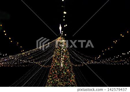 Holiday lights illuminate a large Christmas tree at night in a festive setting 142579437
