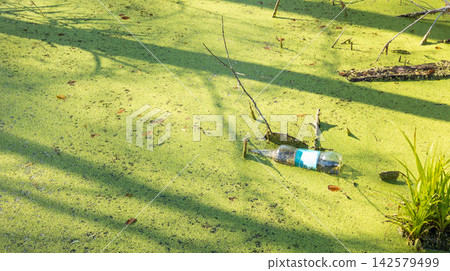 Plastic Bottle Floating in Green Duckweed Covered Swamp Water. Environmental Pollution Concept Plastic Bottle Floating in Green Duckweed Covered Swamp Water. Environmental Pollution Concept 142579499