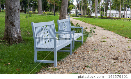 Two Wooden Benches Beside Gravel Path in Green Park with Tall Trees Two Wooden Benches Beside Gravel Path in Green Park with Tall Trees 142579501