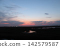 Venetian Lagoon sunset with pink clouds and water reflection 142579587