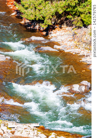 Tereblya river top view. water rocks on a sunny autumn day. Transcarpathian nature background. scenery in the forest of Synevyr national park Tereblya river top view. water rocks on a sunny autumn day. Transcarpathian nature background. scenery in the forest of Synevyr national park 142579765