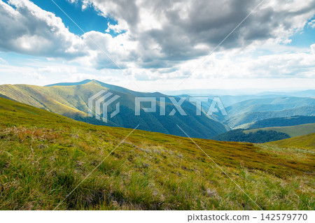 Carpathian mountain landscape in summer. scenic view of Transcarpathia region from Stiy summit. hiking trail through Borzhava range. grassy hill in dappled light Carpathian mountain landscape in summer. scenic view of Transcarpathia region from Stiy summit. hiking trail through Borzhava range. grassy hill in dappled light 142579770