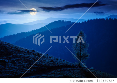 mountainous rural landscape in spring at night. mysterious view of valley fields. full moon over alpine meadow. carpathian mountains countryside with forest near pasture. agricultural fantasy mountainous rural landscape in spring at night. mysterious view of valley fields. full moon over alpine meadow. carpathian mountains countryside with forest near pasture. agricultural fantasy 142579787