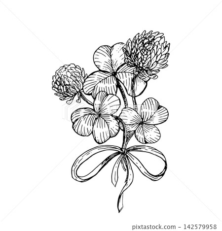 Clover bouquet with flower heads and ribbon bow hand drawn vector ink sketch. Monochrome botanical line art element perfect for Patrick s day greeting cards, Irish branding and tattoo art prints. Clover bouquet with flower heads and ribbon bow hand drawn vector ink sketch. Monochrome botanical line art element perfect for Patrick s day greeting cards, Irish branding and tattoo art prints. 142579958