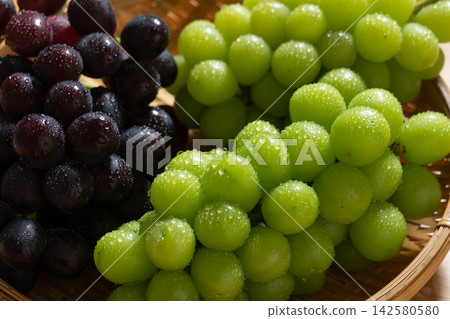 A fresh assortment of Oriental Star and Shine Muscat grapes (August) - a delightful sight, with slightly unevenly shaped grapes. A fresh assortment of Oriental Star and Shine Muscat grapes (August) - a delightful sight, with slightly unevenly shaped grapes. 142580580
