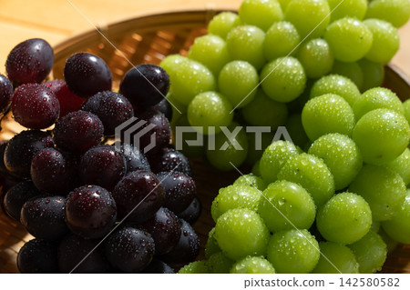 A fresh assortment of Oriental Star and Shine Muscat grapes (August) - a delightful sight, with slightly unevenly shaped grapes. A fresh assortment of Oriental Star and Shine Muscat grapes (August) - a delightful sight, with slightly unevenly shaped grapes. 142580582