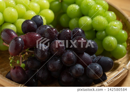Fresh, juicy Oriental Star grapes (August) arranged in a basket, with slightly unevenly shaped grapes, creating a sizzling effect. Fresh, juicy Oriental Star grapes (August) arranged in a basket, with slightly unevenly shaped grapes, creating a sizzling effect. 142580584