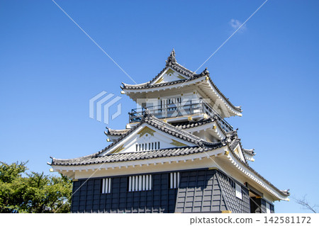 Hamamatsu Castle 142581172