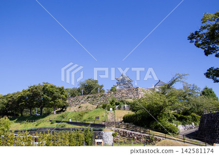 Hamamatsu Castle 142581174