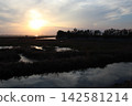 Venetian Lagoon sunset with pink clouds and water reflection 142581214