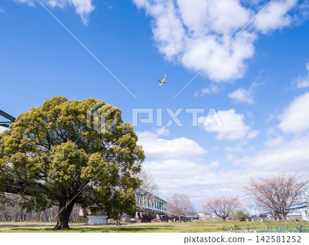 【淀川河公園】寧靜的河畔公園與飛機 【淀川河公園】寧靜的河畔公園與飛機 142581252