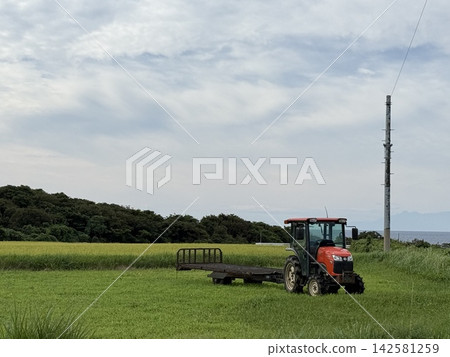 聯合收割機用拖拉機收割水稻 142581259
