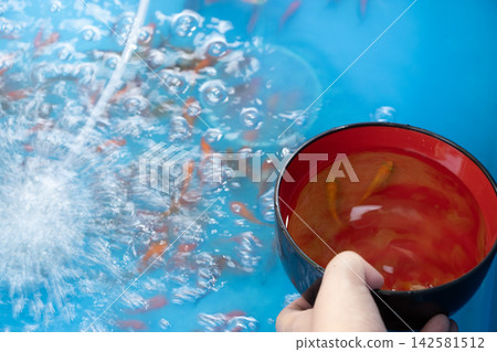 金魚舀 142581512