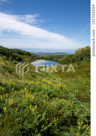 Summer scenery around Sugatami Pond on Mt. Asahidake Summer scenery around Sugatami Pond on Mt. Asahidake 142581684