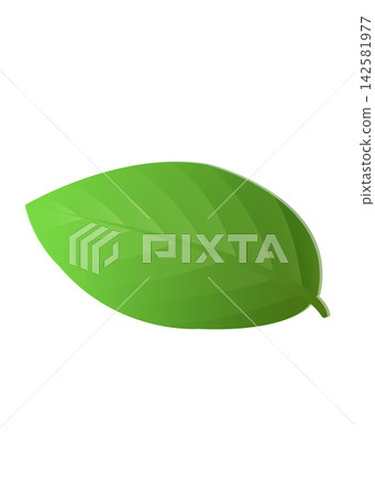 Green Leaf with Circular Hole and Soft Shadow on White Background Green Leaf with Circular Hole and Soft Shadow on White Background 142581977