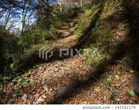 Mountain path of fallen leaves Mountain path of fallen leaves 142582174