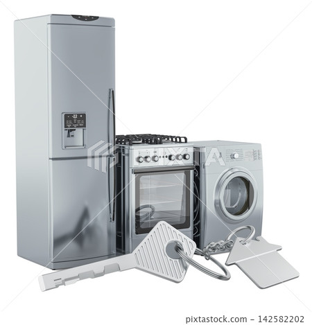 Home appliances and house key. 3D rendering 142582202