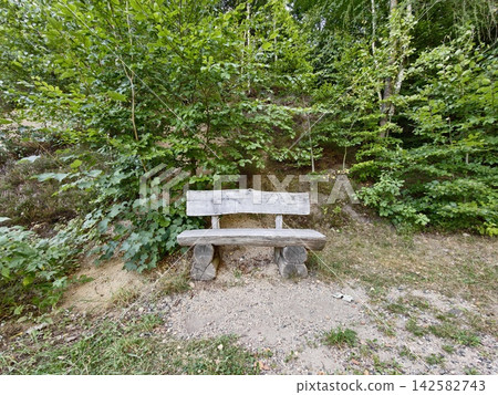 Wooden bench in forest clearing beside dirt path, shaded by lush green trees and leafy undergrowth along trail, with bench, wood, wooden, forest detail, showing tree, path, dirt, gravel context Wooden bench in forest clearing beside dirt path, shaded by lush green trees and leafy undergrowth along trail, with bench, wood, wooden, forest detail, showing tree, path, dirt, gravel context 142582743