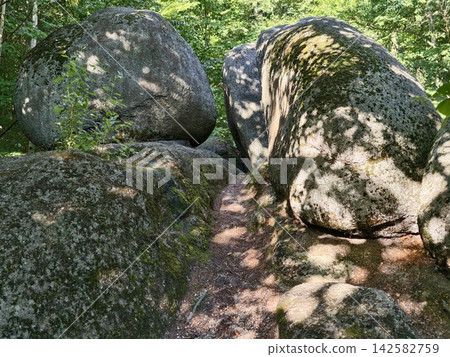 Sunlit forest scene with mossy granite boulders forming rocky trail among trees and dappled shade, with forest, rock, boulder, granite detail, showing moss, mossy, shade, sunlight context Sunlit forest scene with mossy granite boulders forming rocky trail among trees and dappled shade, with forest, rock, boulder, granite detail, showing moss, mossy, shade, sunlight context 142582759