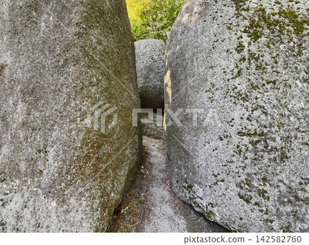Massive mossy granite boulders form narrow passage between colossal stones in forest daylight, creating secluded ancient rock corridor surrounded by green moss and lichen Massive mossy granite boulders form narrow passage between colossal stones in forest daylight, creating secluded ancient rock corridor surrounded by green moss and lichen 142582760