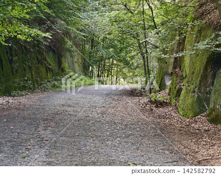 Forest path through mossy rock walls: narrow gravel trail surrounded by greenery and moss covered cliffs, sunlit canopy filtering light onto pebbled ground and quiet woodland scene Forest path through mossy rock walls: narrow gravel trail surrounded by greenery and moss covered cliffs, sunlit canopy filtering light onto pebbled ground and quiet woodland scene 142582792