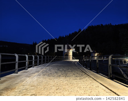 Night scene of illuminated riverside promenade with cobblestone walkway stone towers ornate railing and moonlit landscape under deep blue sky along tranquil river at dusk Night scene of illuminated riverside promenade with cobblestone walkway stone towers ornate railing and moonlit landscape under deep blue sky along tranquil river at dusk 142582841